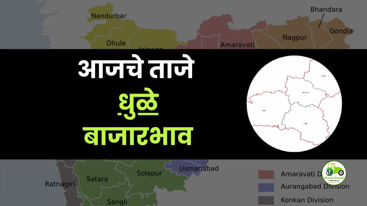 आजचे धुळे बाजारभाव