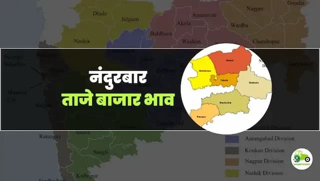 आजचे नंदुरबार बाजारभाव