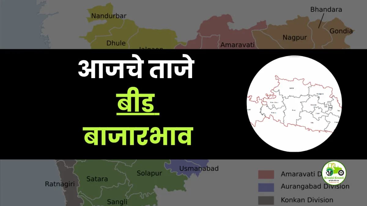 आजचे बीड बाजारभाव