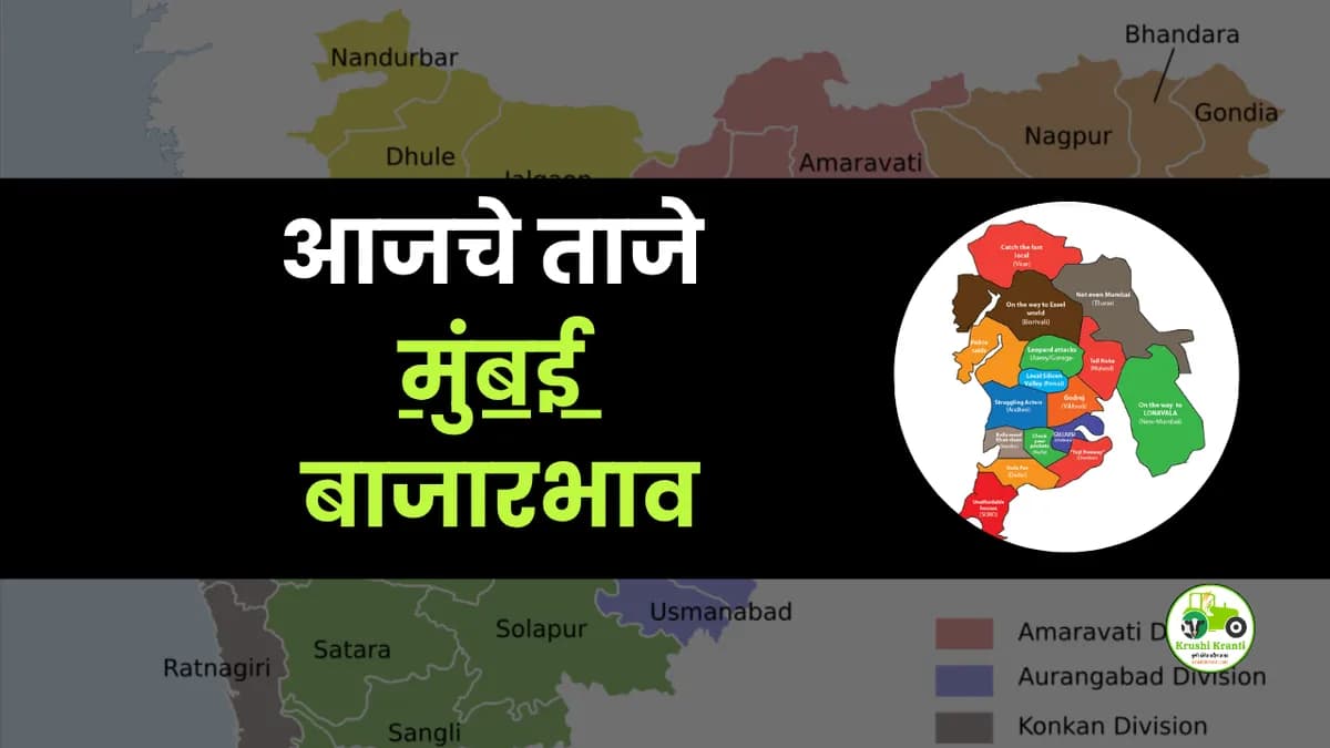 आजचे मुंबई बाजारभाव