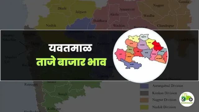 आजचे यवतमाळ बाजारभाव