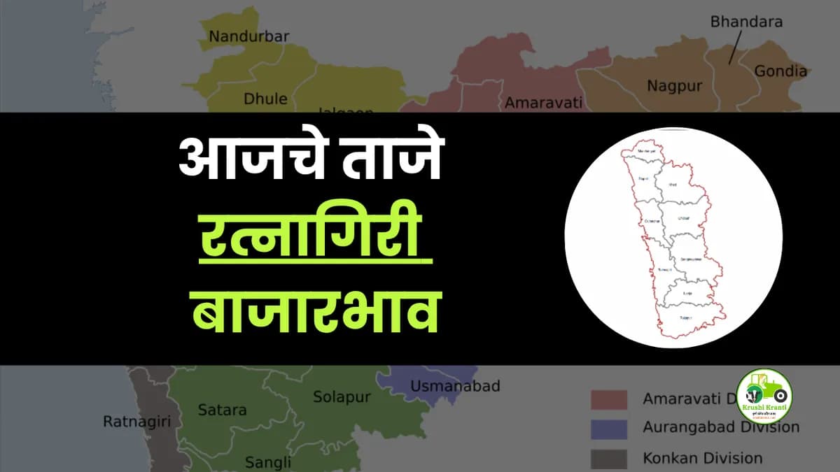 आजचे रत्नागिरी बाजारभाव