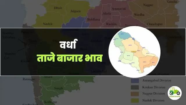 आजचे वर्धा बाजारभाव