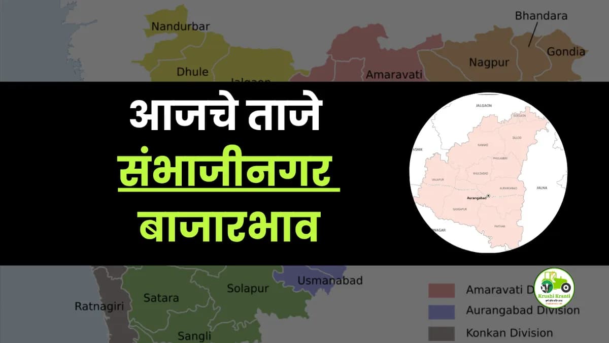 आजचे छत्रपती संभाजीनगर बाजारभाव