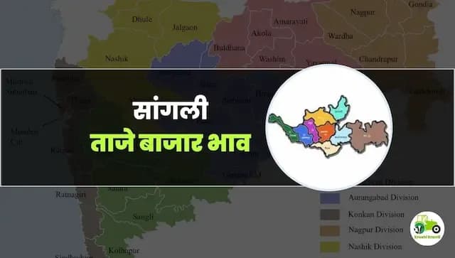 आजचे सांगली बाजारभाव