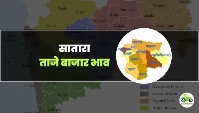 आजचे सातारा बाजारभाव