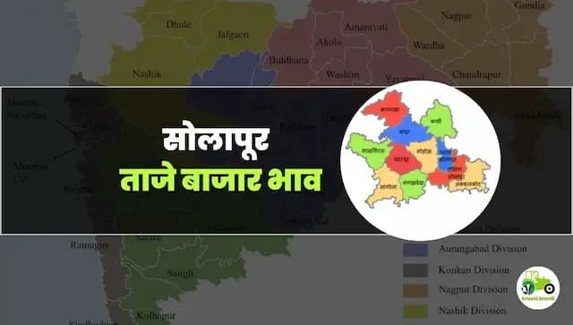 आजचे सोलापूर बाजारभाव