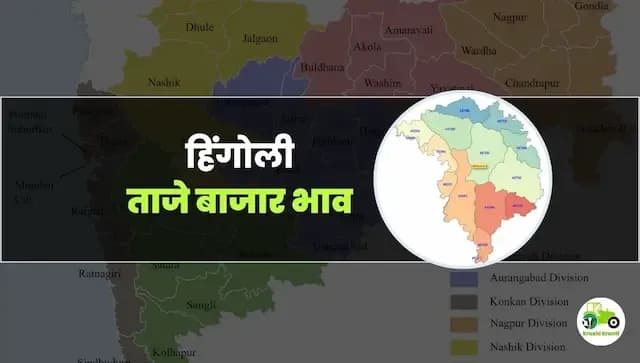 आजचे हिंगोली बाजारभाव