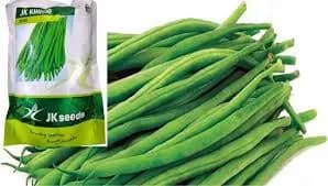JK घेवडा (घरगुती) बियाणे मिळेल