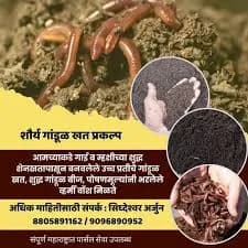 शौर्य गांडूळ खत प्रकल्प