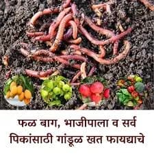 गांडुळ खत विक्रीसाठी उपलब्ध