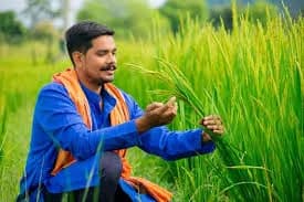 अमृता ऍग्रो सर्विसेस