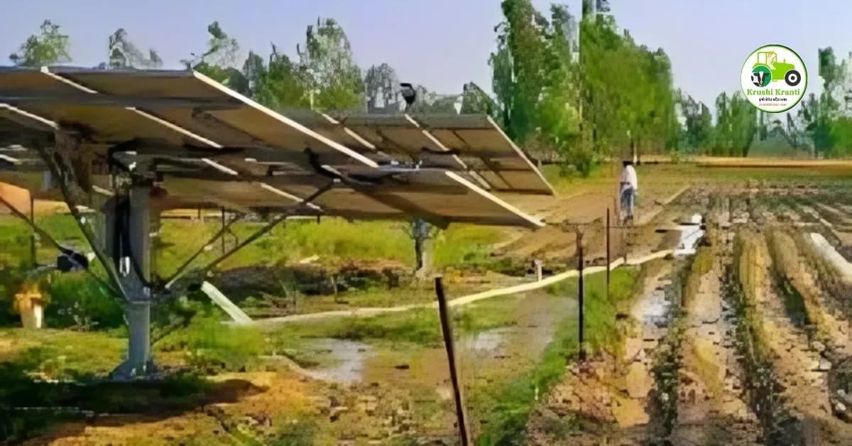 MSEB Solar Agro Power: महावितरणमध्ये ऐतिहासिक बदल; आता शेतकऱ्यांना या कंपनीचा कसा फायदा होणार