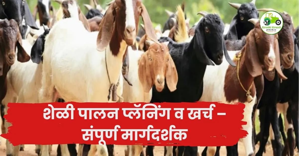 शेळी पालन प्लॅनिंग व खर्च – संपूर्ण मार्गदर्शक