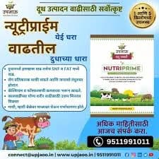काळजी पशुधनाची, खात्री NUTRIPRIME ची!