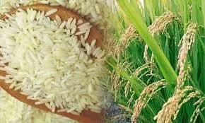 शेतकरी ते ग्राहक – शुद्ध तांदूळ विक्री
