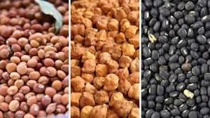 कमल ऍग्रो फ्रुड प्रॉडक्ट