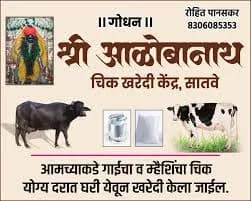 गाई/म्हैस चा चिक विकत पाहिजे