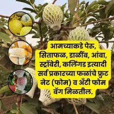 पांडुरंग ॲग्रो इंडस्ट्रीज