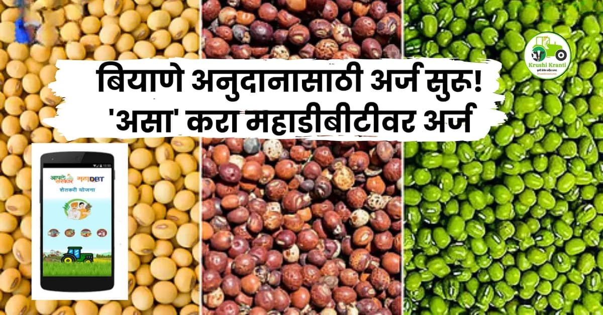 बियाणे अनुदानासाठी अर्ज सुरू! 'असा' करा महाडीबीटीवर अर्ज