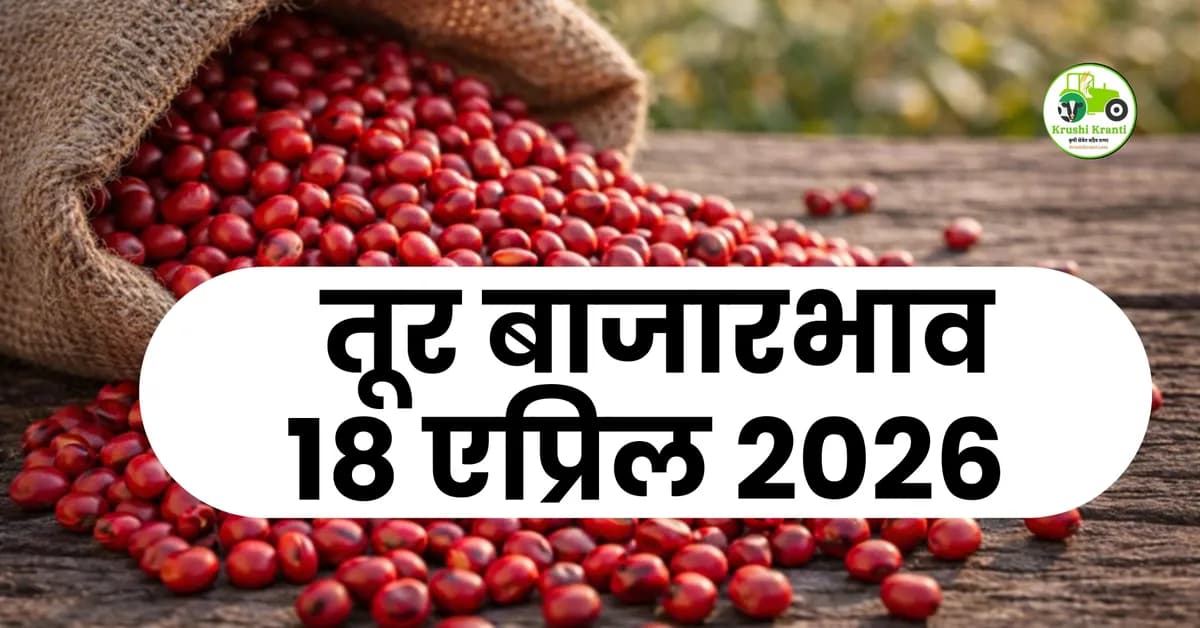 आजचा तूर बाजारभाव – 18 एप्रिल 2026