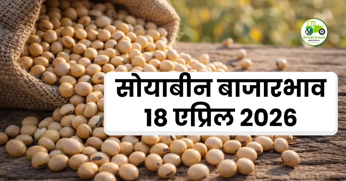 आजचा सोयाबीन बाजारभाव 18 एप्रिल 2026