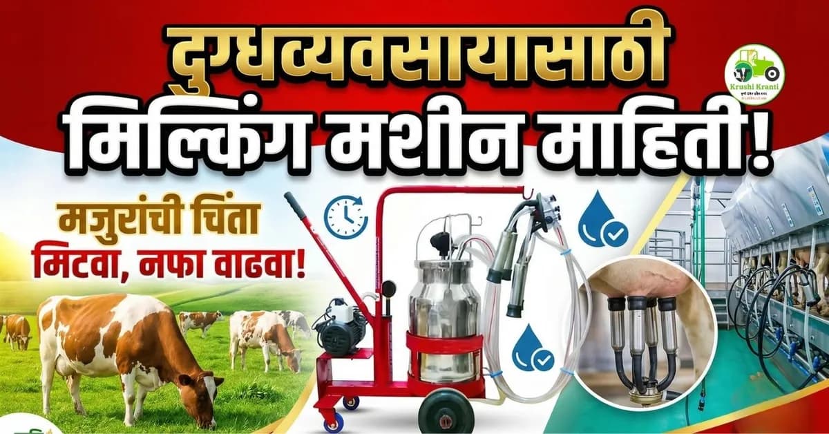 आजचे कांदा बाजारभाव 17 एप्रिल 2026