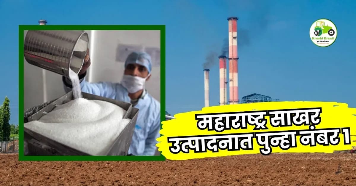 महाराष्ट्र साखर उत्पादनात पुन्हा नंबर 1! 2025-26 ऊस गाळप हंगामाचा आढावा
