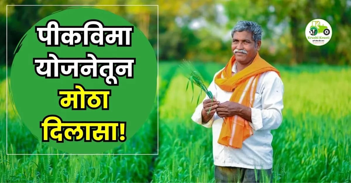 पीकविमा योजनेतून मोठा दिलासा! खरीप 2025 साठी १,२१९ कोटींची नुकसानभरपाई जाहीर