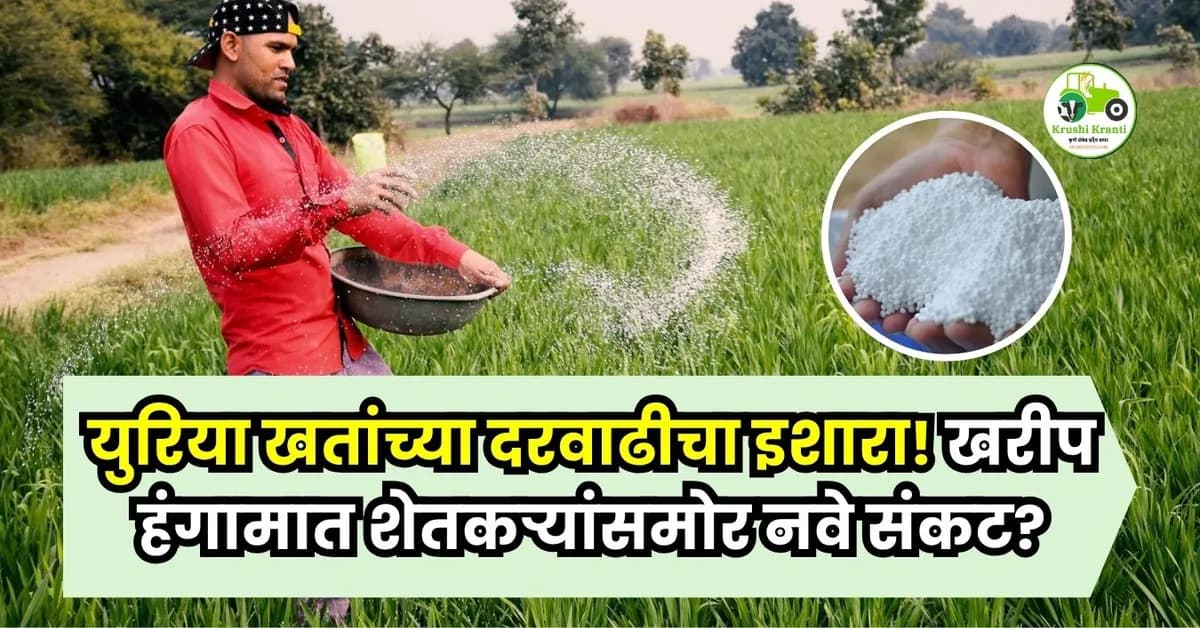 युरिया खतांच्या दरवाढीचा इशारा! खरीप हंगामात शेतकऱ्यांसमोर नवे संकट?