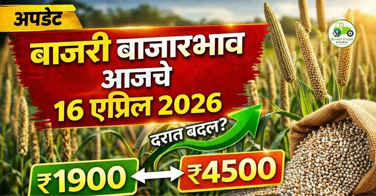 बाजरी बाजारभाव आजचे 16 एप्रिल 2026