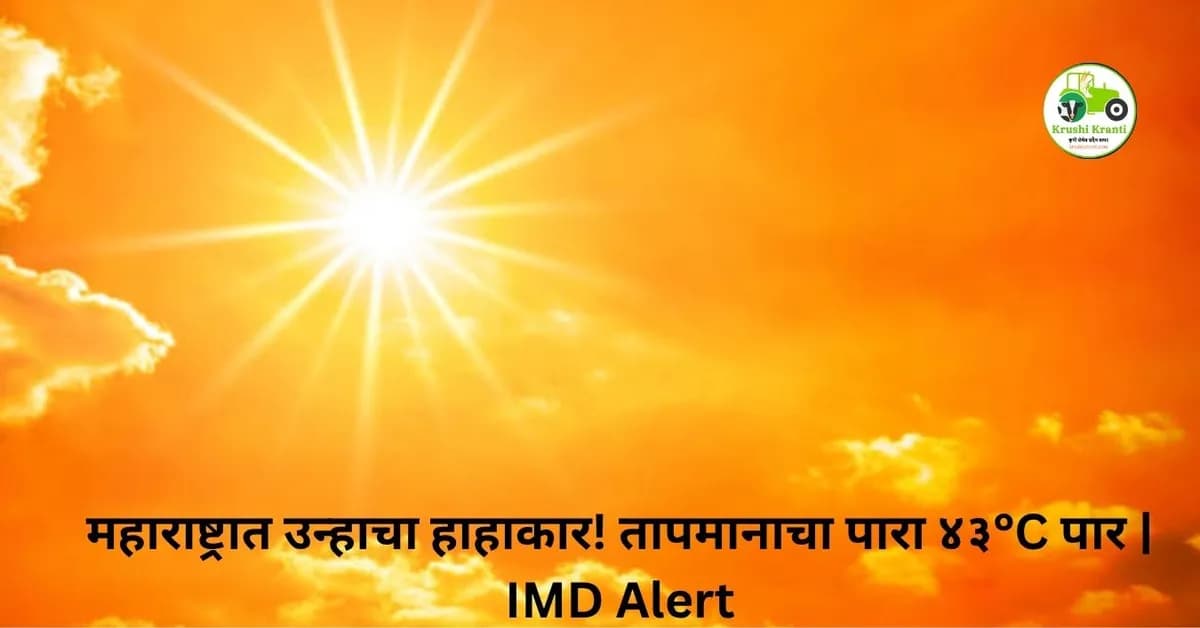 महाराष्ट्रात उन्हाचा हाहाकार! तापमानाचा पारा ४३°C पार | IMD Alert
