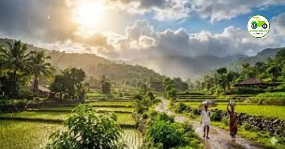 सावधान! महाराष्ट्रात उष्णतेचा 'यलो अलर्ट'; विदर्भात पारा ४२ अंशांवर, शेतकऱ्यांनो अशी घ्या पिकांची काळजी
