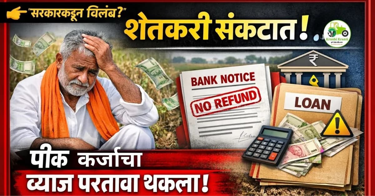 शेतकरी संकटात! पीक कर्जाचा 'व्याज परतावा' थकला; नियमित कर्जफेड करणाऱ्यांना मोठा भुर्दंड