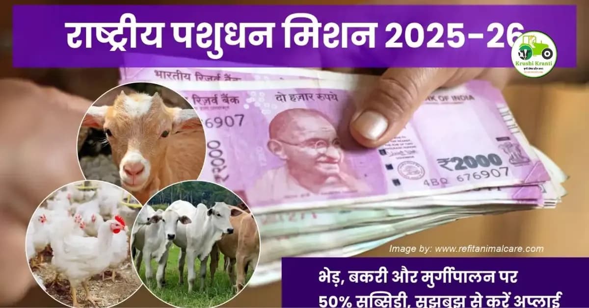 राष्ट्रीय पशुधन अभियान योजना