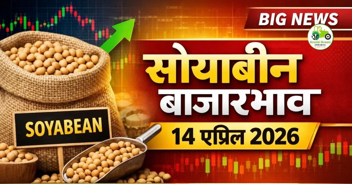 सोयाबीन बाजारभाव 14 एप्रिल 2026