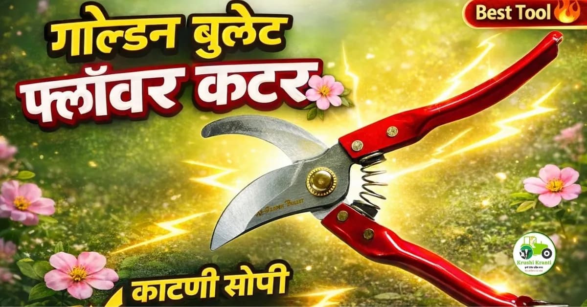 गोल्डन बुलेट फ्लॉवर कटर