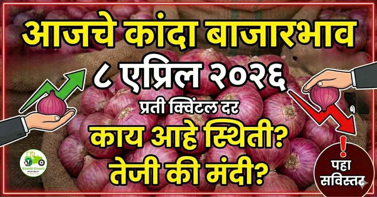 आजचे कांदा बाजारभाव ८ एप्रिल २०२६