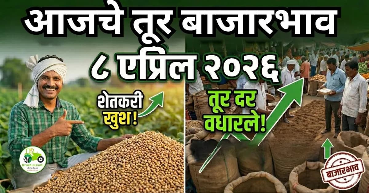 आजचे तूर बाजारभाव ८ एप्रिल २०२६