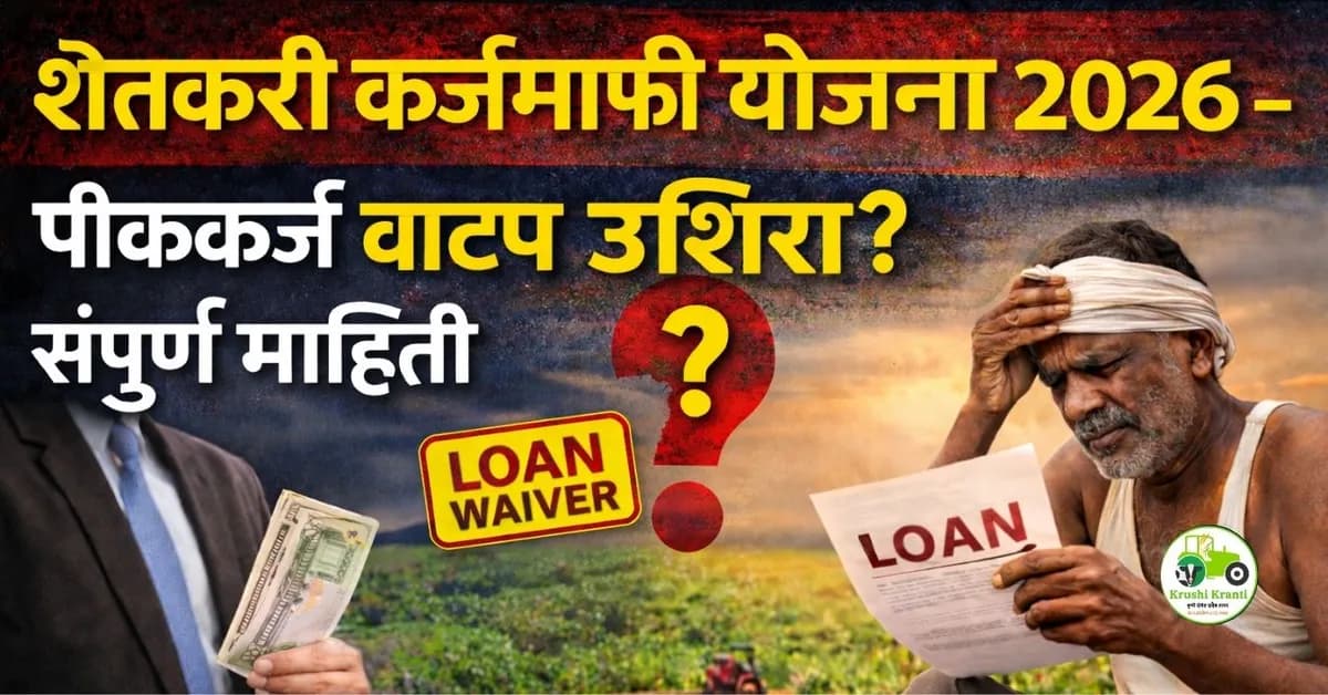 शेतकरी कर्जमाफी योजना: पीककर्ज वाटपाला विलंब होणार? संपूर्ण सविस्तर माहिती
