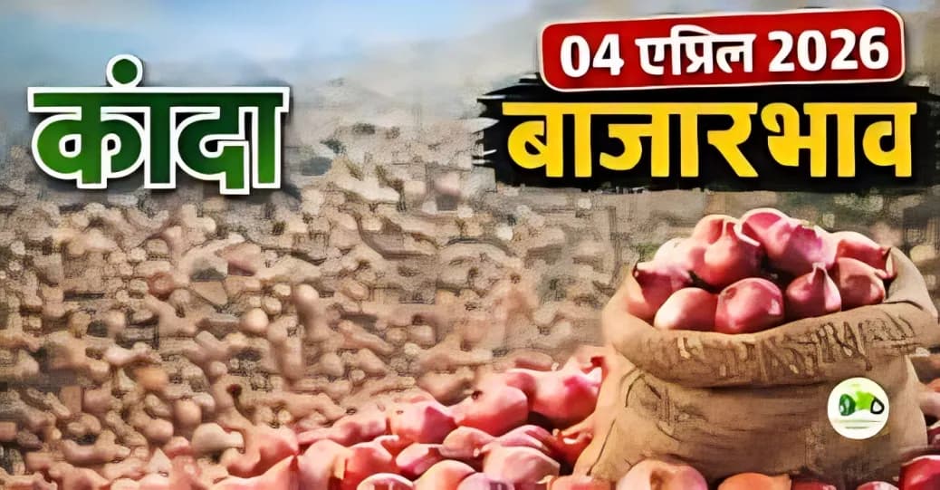 कांदा बाजारभाव 04 एप्रिल 2026: ₹1500 पर्यंत दर | संपूर्ण माहिती