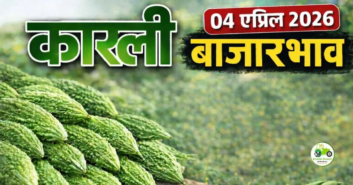 कारली बाजारभाव 04 एप्रिल 2026: संपूर्ण माहिती