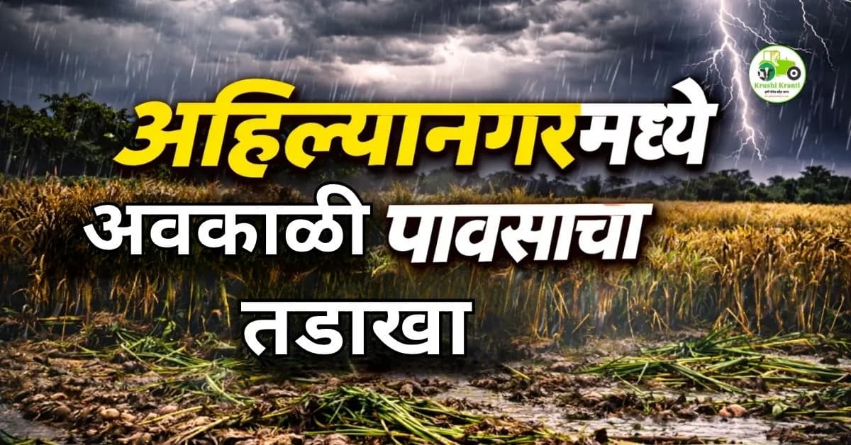 अहिल्यानगर जिल्ह्यात अवकाळी पावसाचा तडाखा: कांदा, गहू व फळपिकांचे मोठे नुकसान अहिल्यानगर जिल्ह्यात गेल्या आठवडाभरापासून