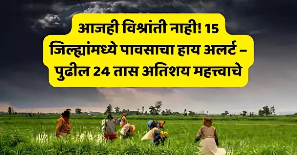 आजही विश्रांती नाही! 15 जिल्ह्यांमध्ये पावसाचा हाय अलर्ट – पुढील 24 तास अतिशय महत्त्वाचे