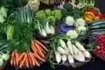 कापूस आणि शेडनेट मधील भाजीपाला बद्दल सल्ला मिळेल
