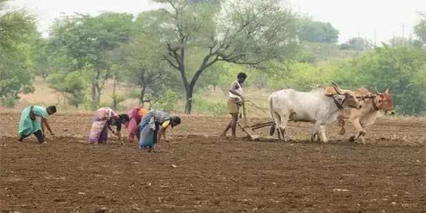 शेतीचा खर्च कमी करून उत्पादनात वाढणे वरती सल्ला मिळेल