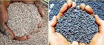खते, कीटकनाशक, बियाणे मोफत सल्ला.