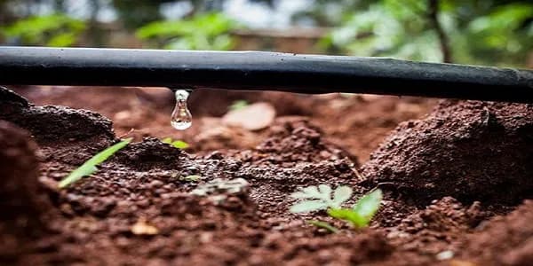 ठीबक सिंचन आणि कृषि अवजारे विषयी सल्ला