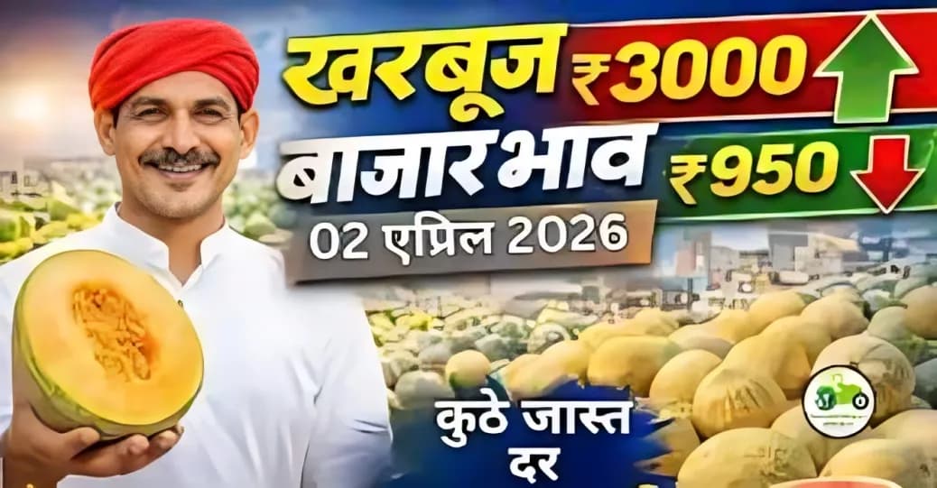 आजचे खरबुज बाजारभाव(02 एप्रिल 2026