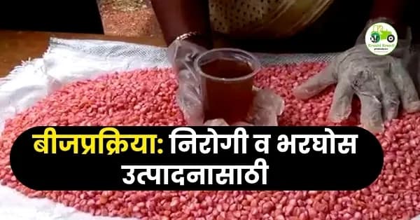 बीजप्रक्रिया: निरोगी व भरघोस उत्पादनासाठी शेतीतील पहिले महत्त्वाचे पाऊल